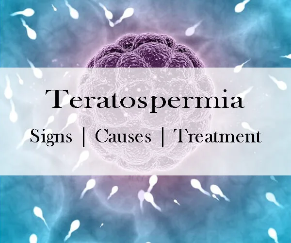 Teratospermia-Teratozoospermia
